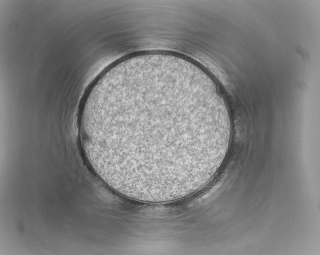 X0000114660885200911171108