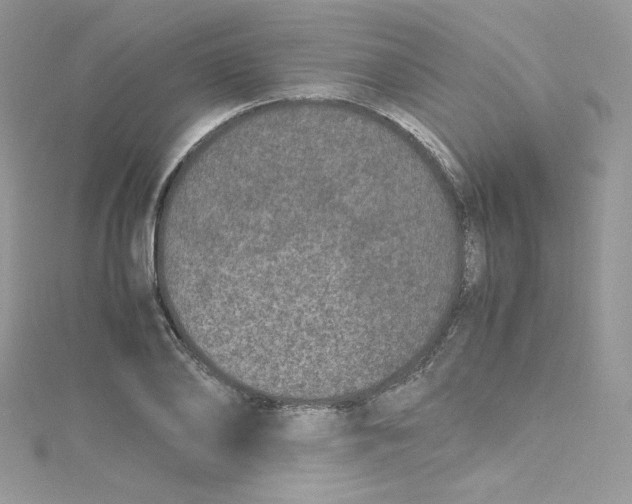 X0000114660886200911171108