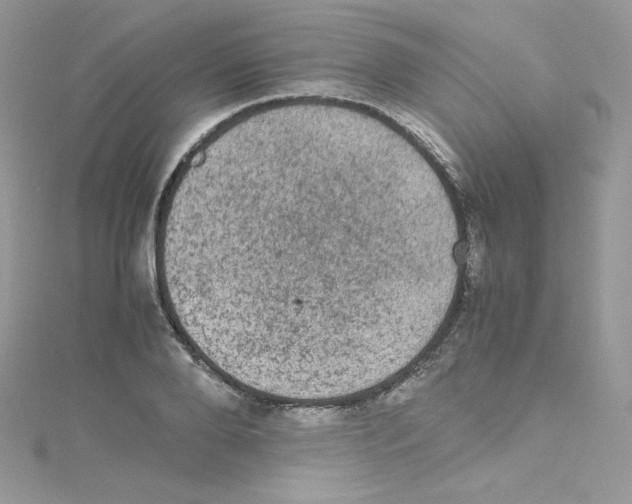 X0000114660888200911171108