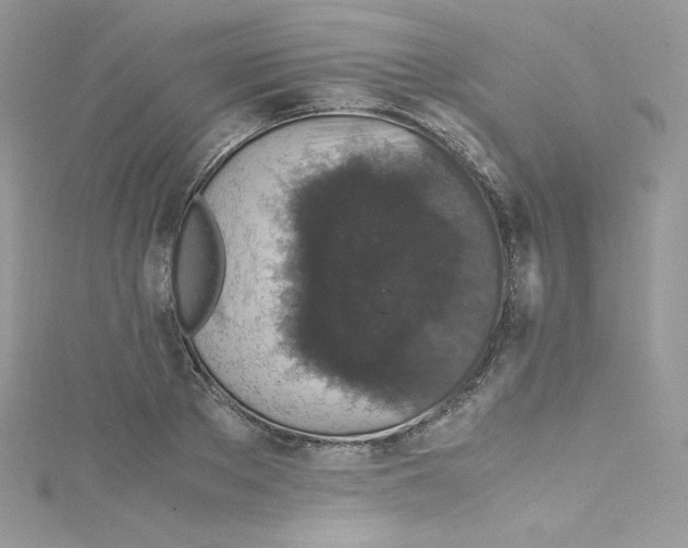 X0000114660889200911171108