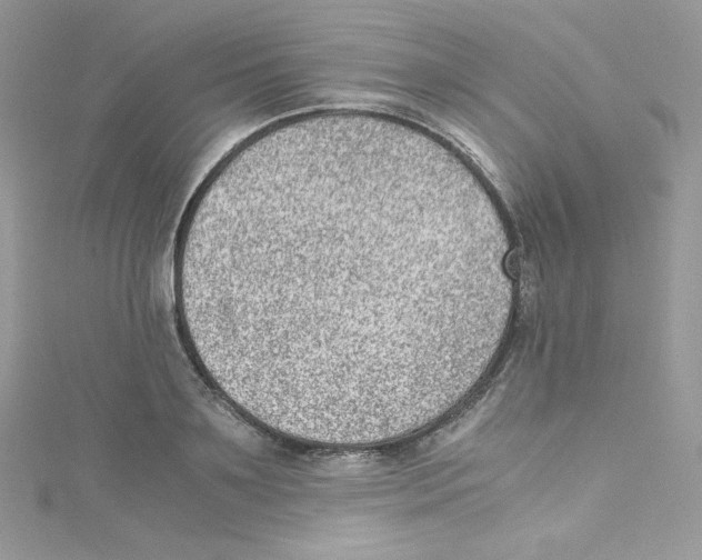 X0000114660891200911171108