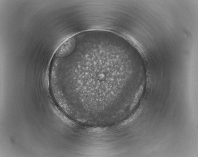 X0000114660892200911171108