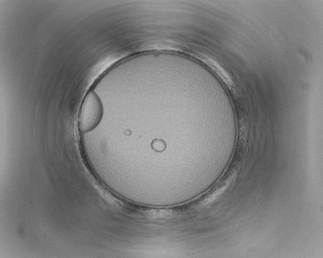 X0000114660893200911171108