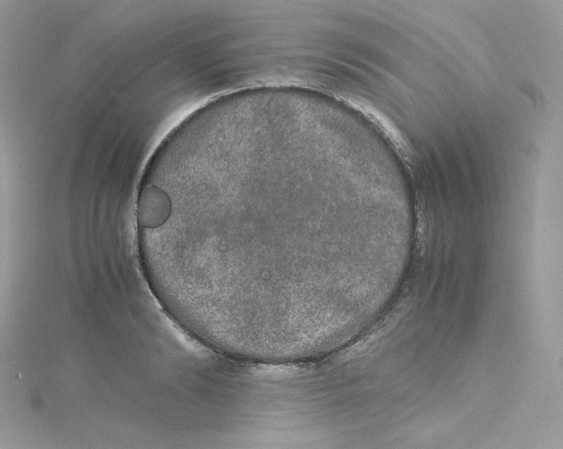 X0000114660894200911171108