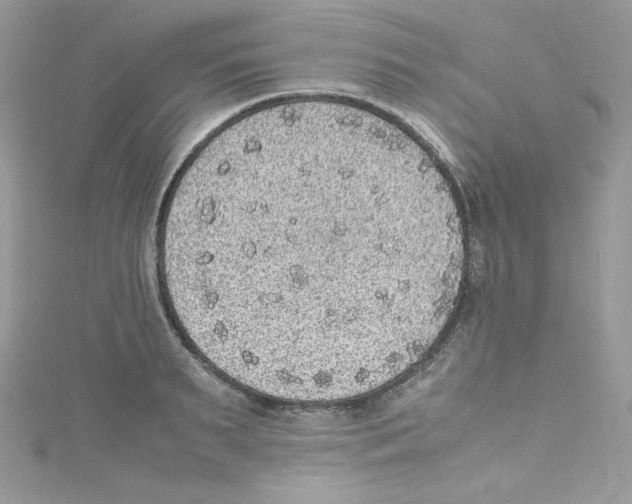 X0000114660895200911171108