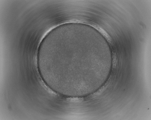 X0000114660896200911171108