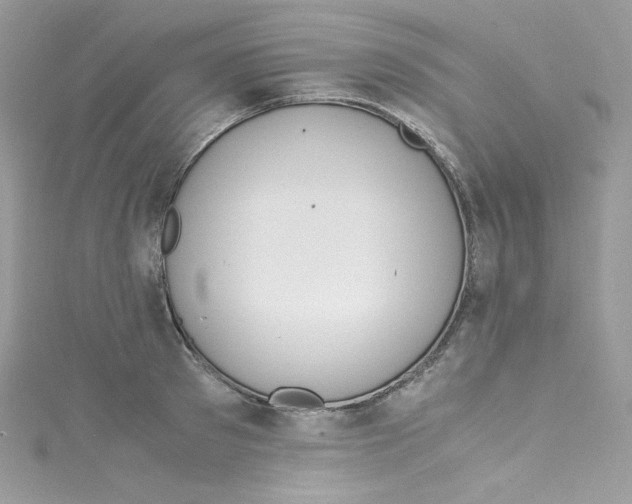 X0000114660897200911171108