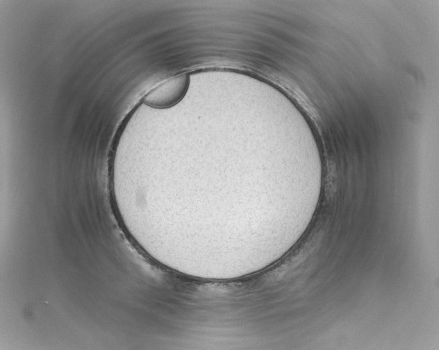 X0000114660898200911171108