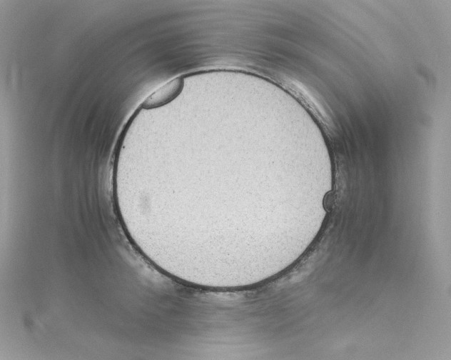 X0000114660900200911171108