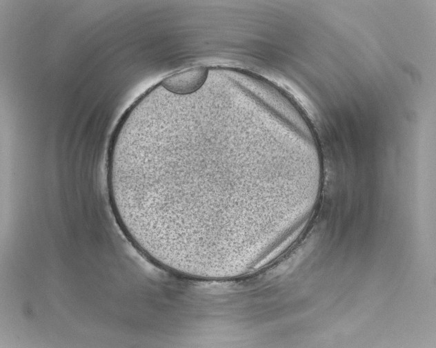 X0000114660902200911171108