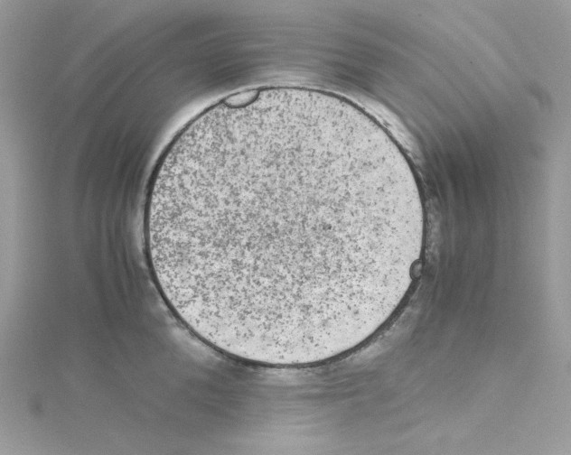 X0000114660904200911171108