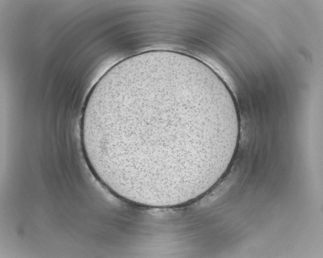 X0000114660906200911171108