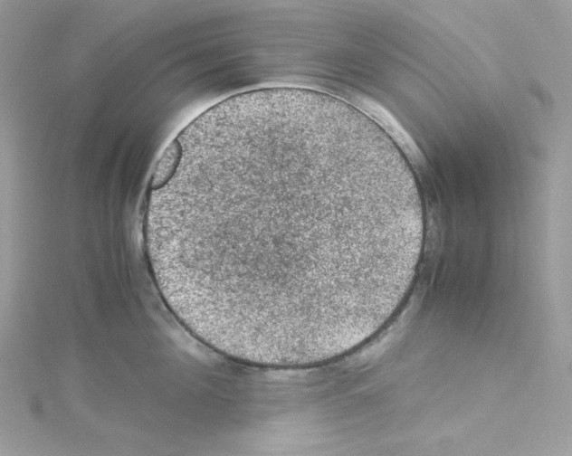 X0000114660908200911171108