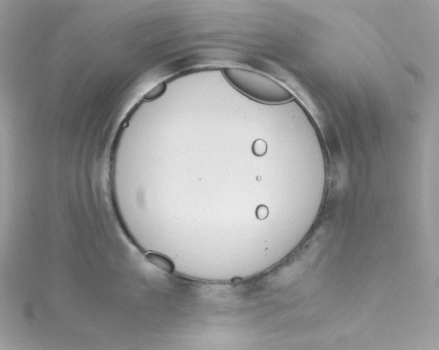 X0000114660909200911171108