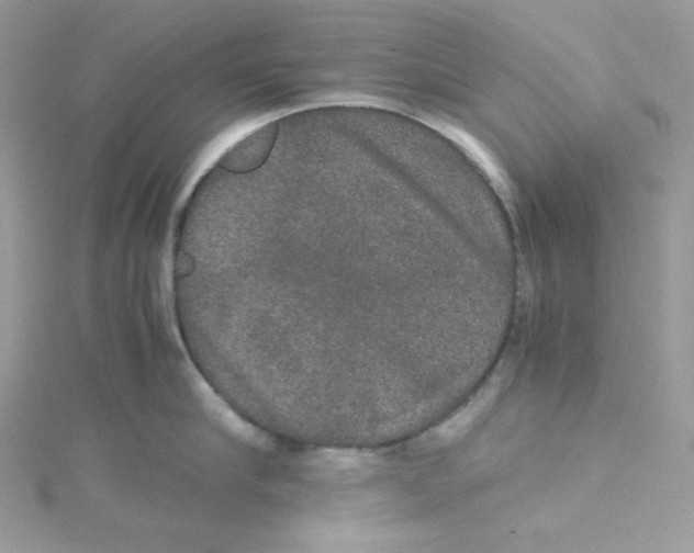 X0000114660910200911171108