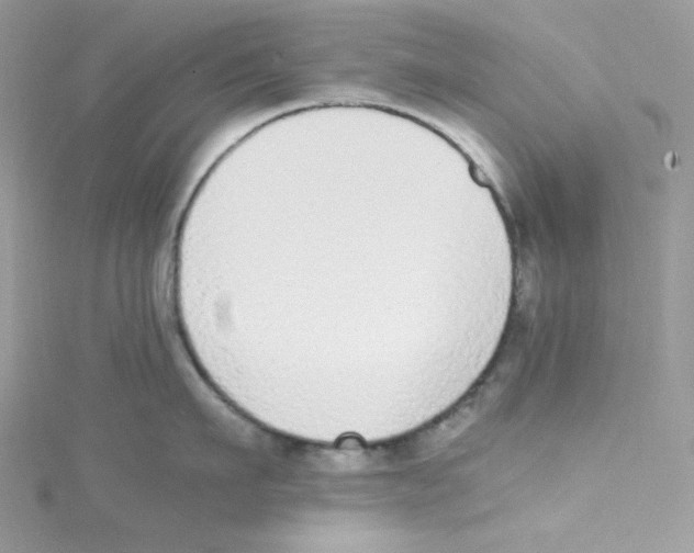 X0000114660911200911171108