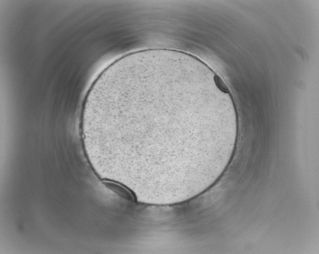 X0000114660912200911171108