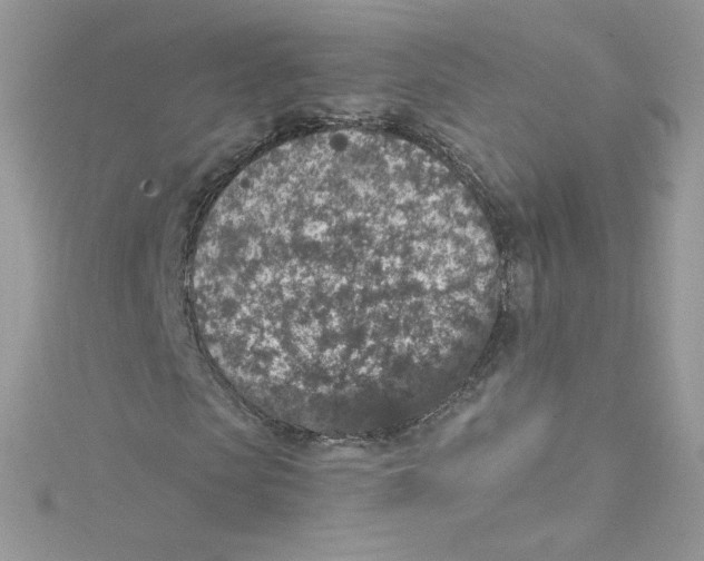 X0000114660913200911171107