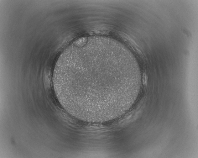 X0000114660915200911171107