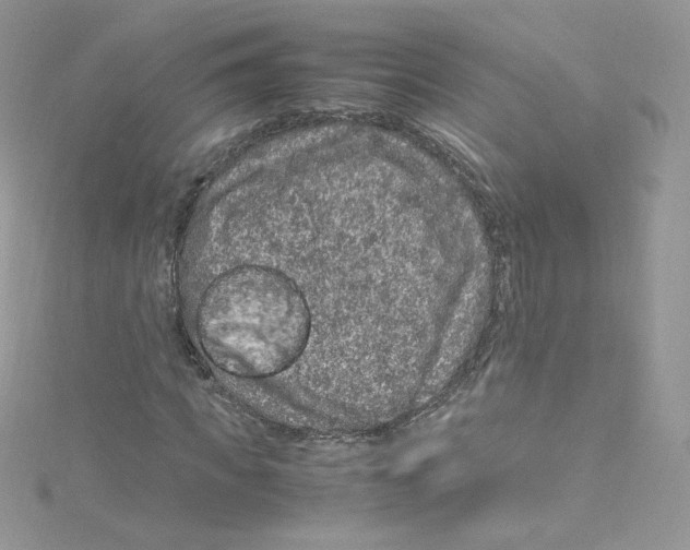 X0000114660917200911171107