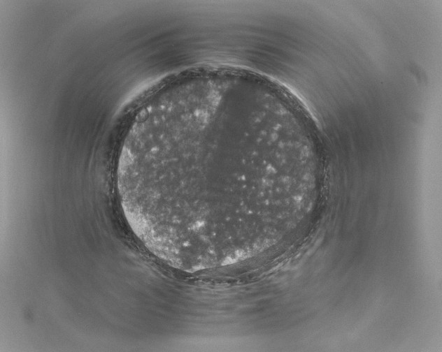 X0000114660919200911171107