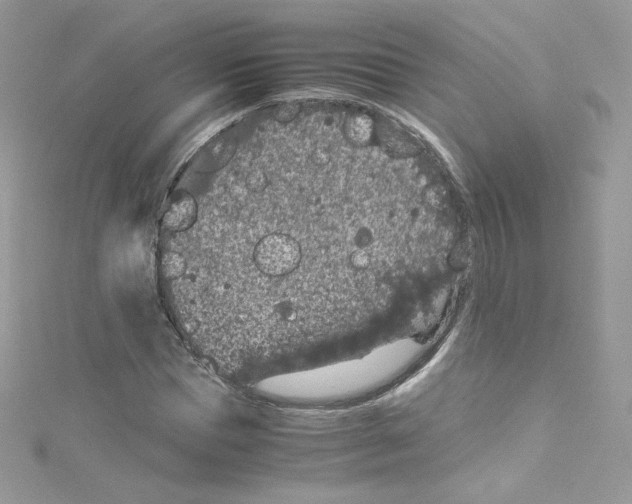 X0000114660921200911171107