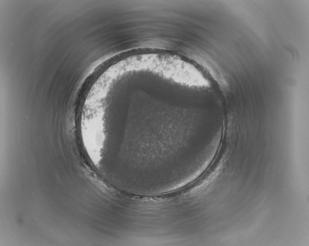 X0000114660923200911171107