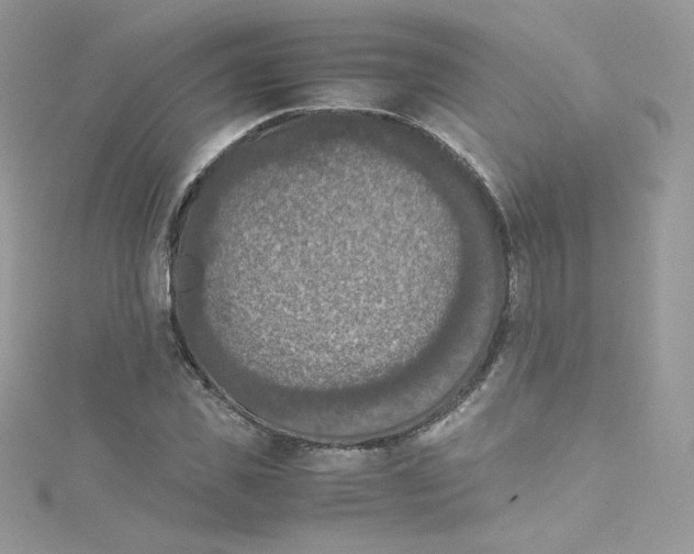 X0000114660925200911171107