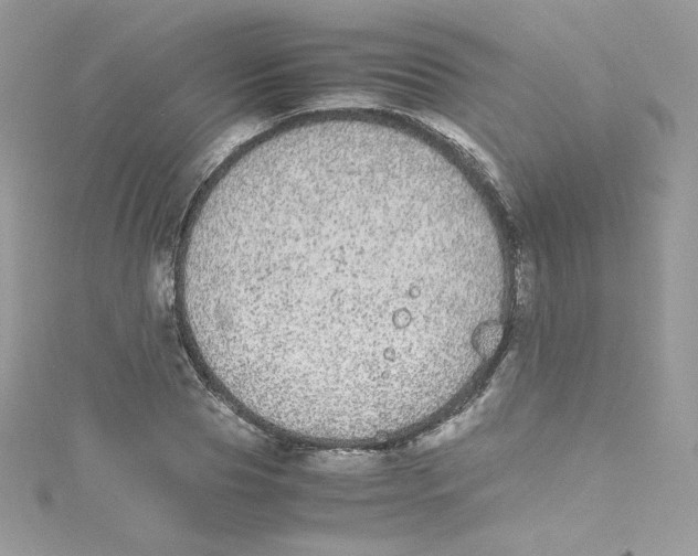 X0000114660929200911171107