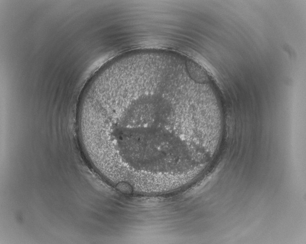 X0000114660930200911171108