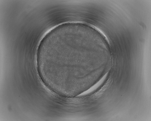 X0000114660935200911171108