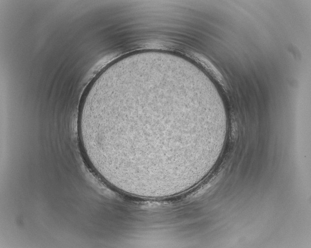 X0000114660938200911171108