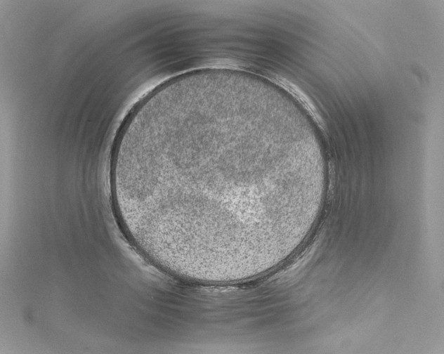 X0000114660939200911171108