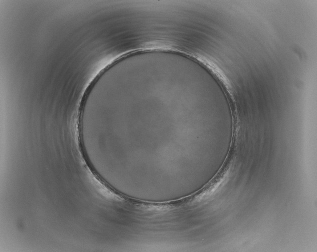 X0000114660941200911171108