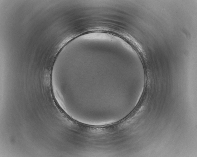 X0000114660945200911171108