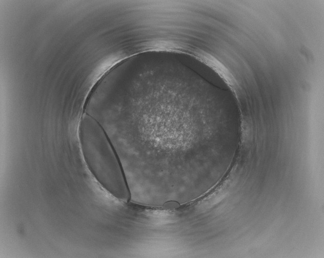 X0000114660946200911171108