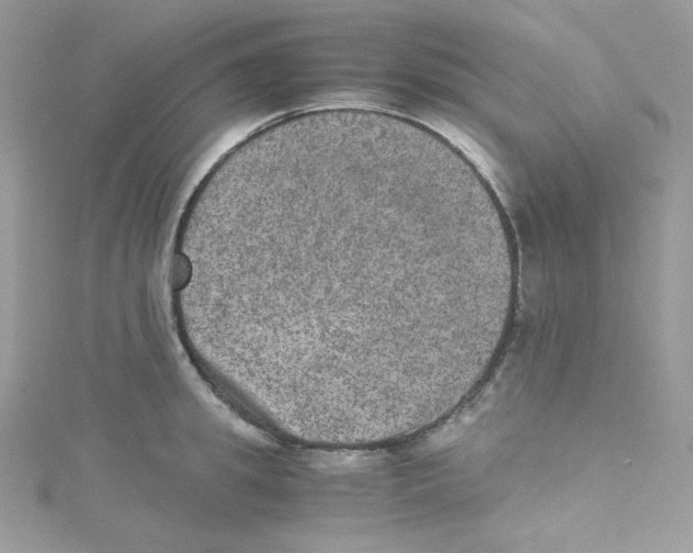 X0000114660949200911171108