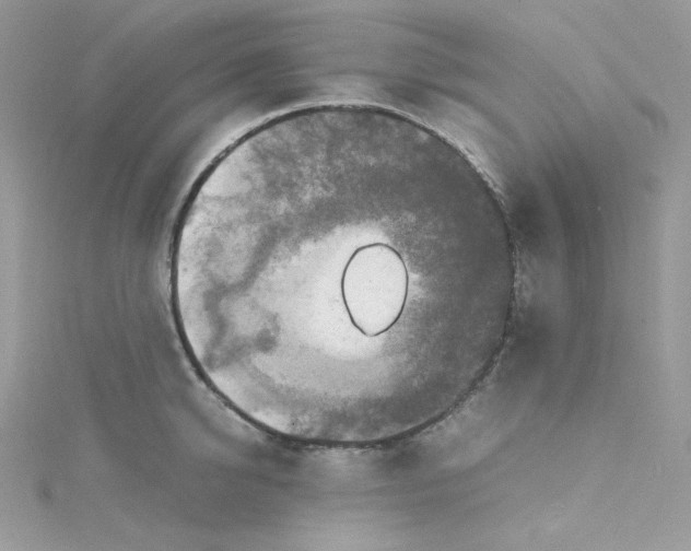 X0000114660950200911171108