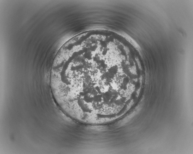 X0000114660953200911171108