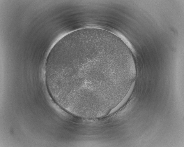 X0000114660955200911171108