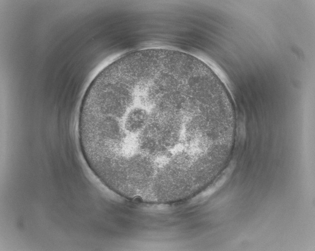 X0000114660957200911171108