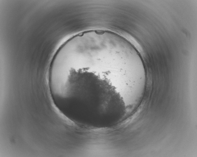 X0000114660958200911171108