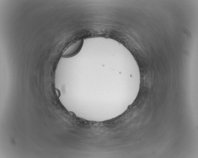 X0000114660961200911171107