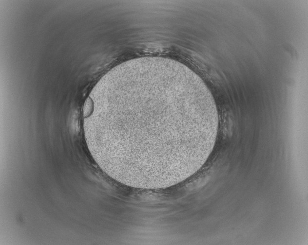 X0000114660962200911171107