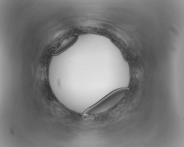 X0000114660965200911171107