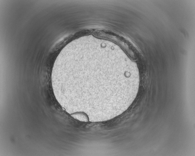 X0000114660967200911171107