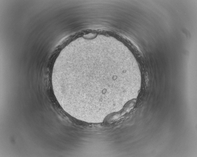 X0000114660968200911171107