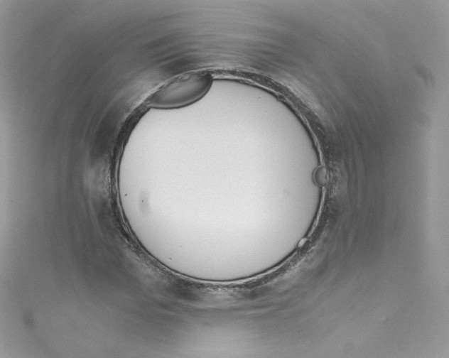 X0000114660969200911171107