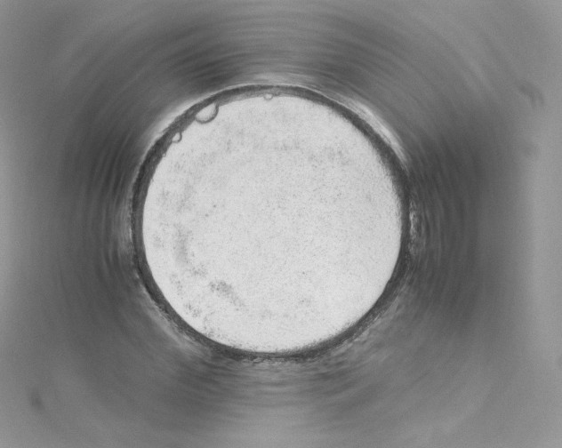 X0000114660972200911171107