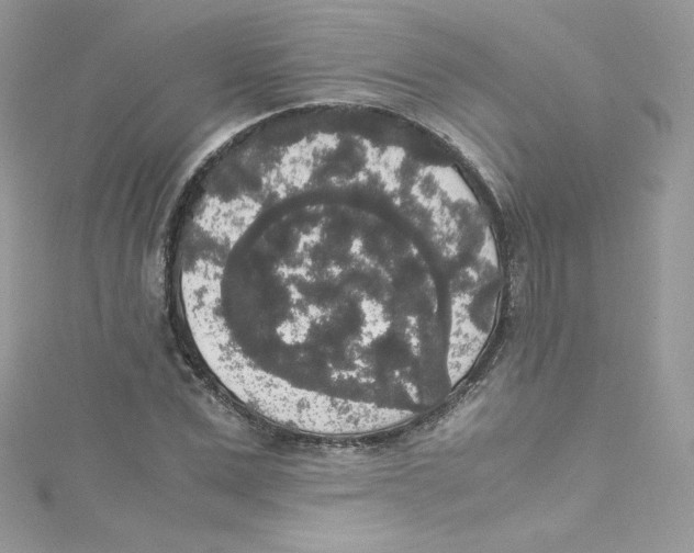 X0000114660975200911171107